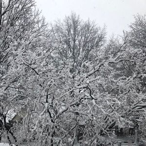 Meet your Posher, Jenny